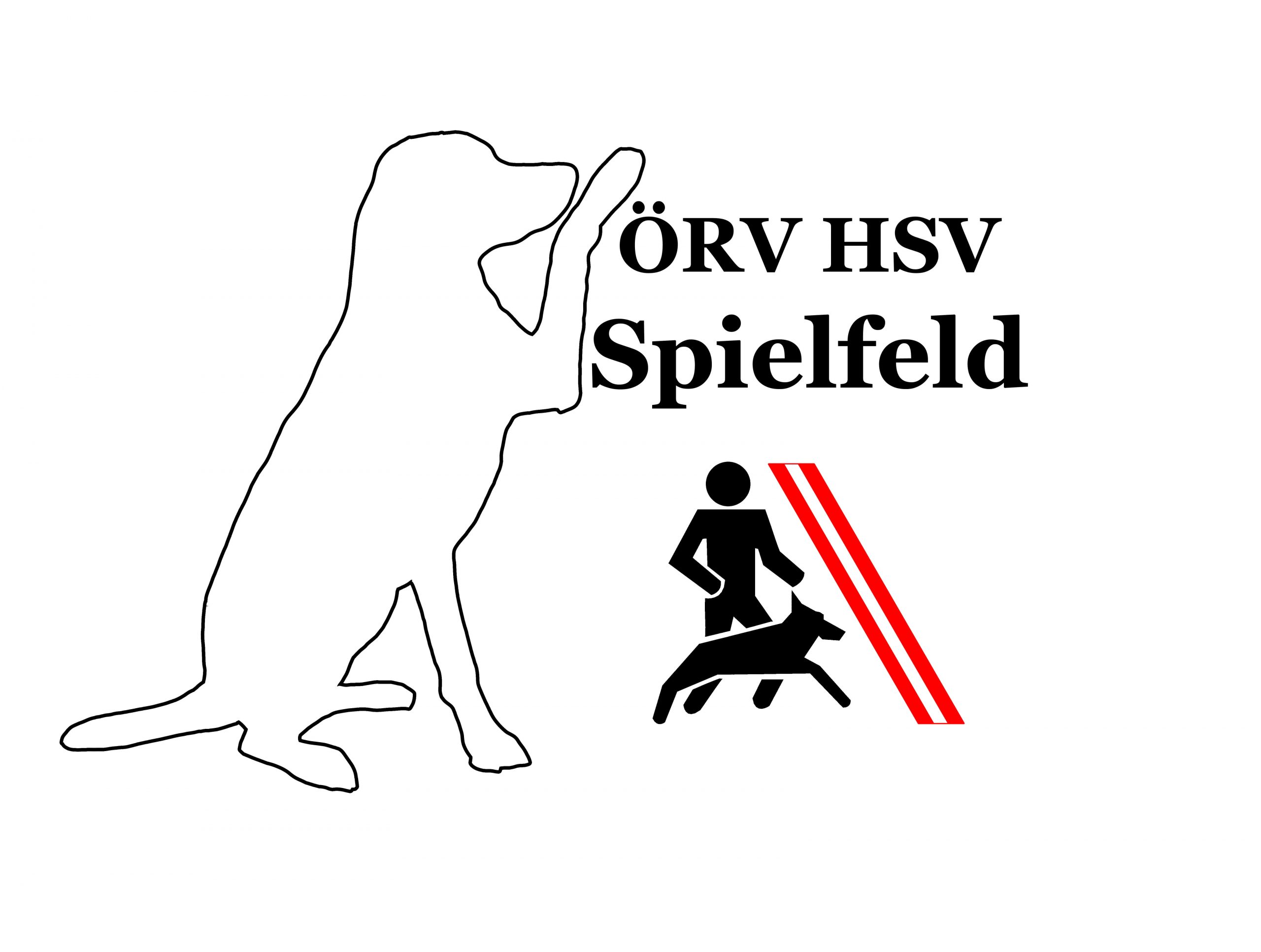 (c) Hsv-spielfeld.at